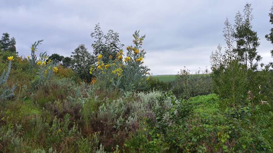 0 Bedroom Property for Sale in Caledon Western Cape